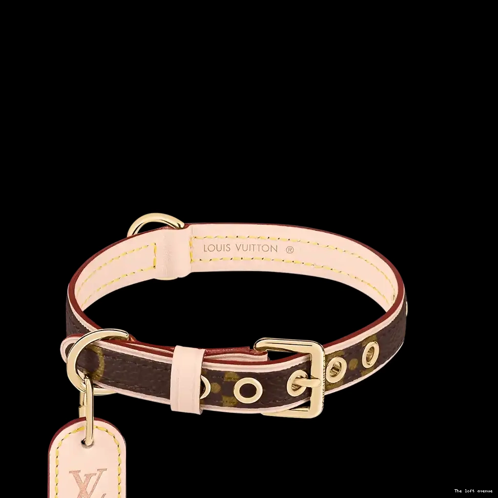 COLLAR AND LEASH DOG LV 0618